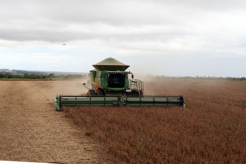 Com o céu nublado no horizonte, trator passa fazendo a colheita de soja em fazenda